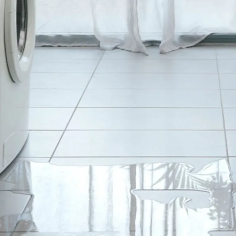 Appliance Leak Cleanup in Bowie, MD